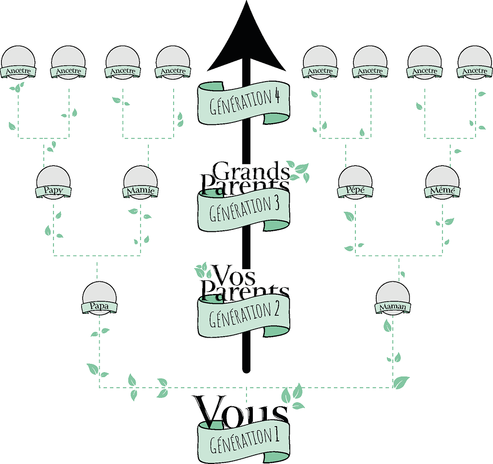 Schéma illustrant la généalogie ascendante par quartier — paternelle et maternelle